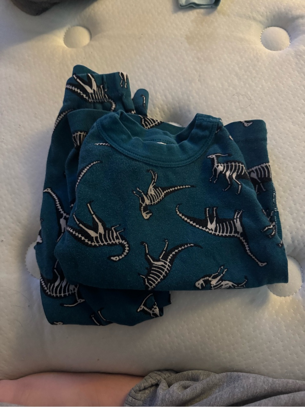 Toddler Teal Dinosaur Pajama Set